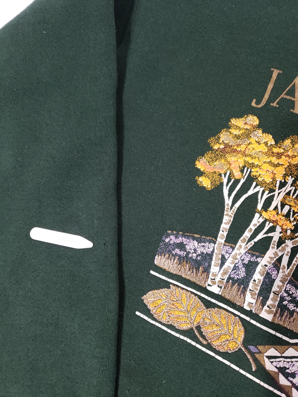 Vintage 90s Jackson Hole Wyoming Fruit of the Loom Green Sweatshirt USA L - Picture 6 of 8